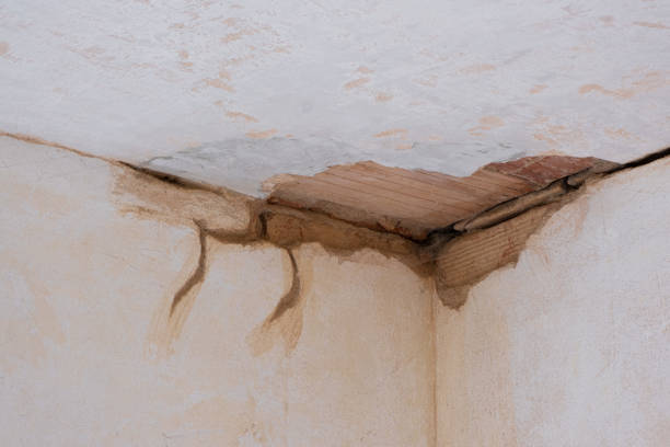 Best Commercial water damage restoration  in Huntington, TX