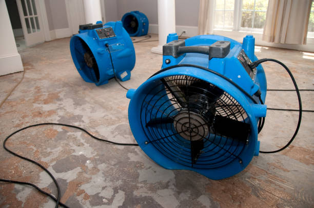 Trusted Huntington, TX Water damage restoration Experts