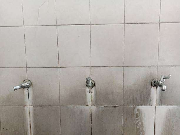 Best Water damage repair service  in Huntington, TX