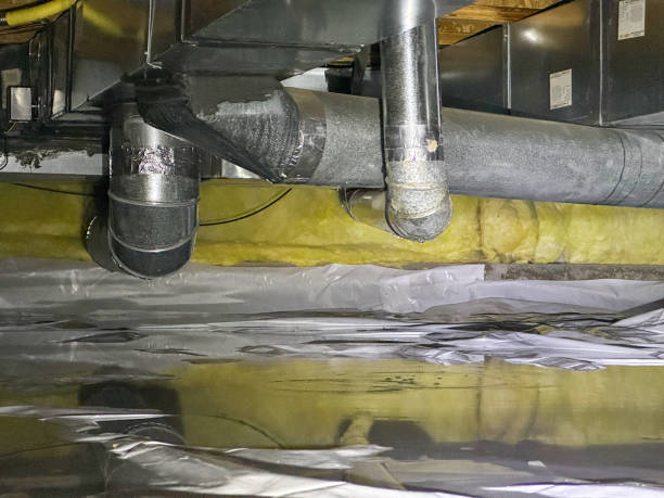 Best Local water damage restoration  in Huntington, TX